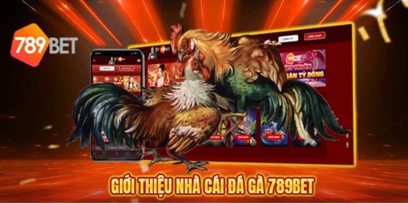 đá gà