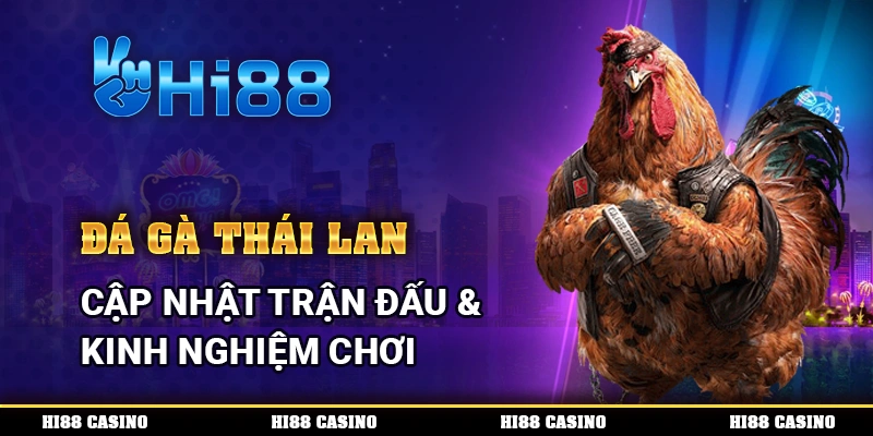 Đá Gà Thái Lan