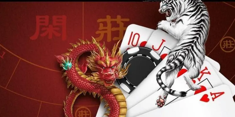 Các kiểu cược và tỷ lệ thưởng trong trò chơi Rồng Hổ
